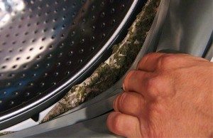 cleaning the drum cuff in the washing machine