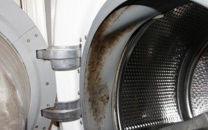 cleaning the rubber band of a washing machine