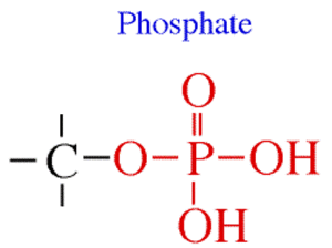 Phosphate