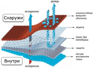 membraninis audinys