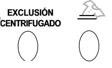 eliminando la centrifuga e fermando con acqua