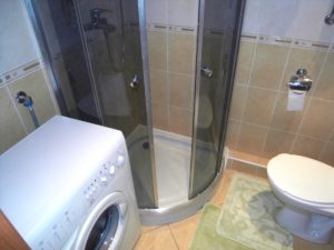 Washing machine in a small bathroom - design features