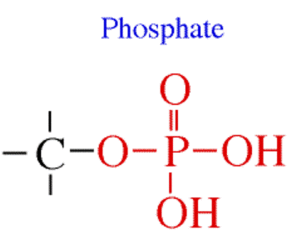 phosphates