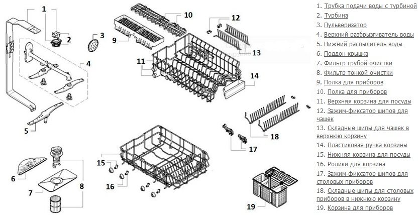 bộ phận cơ thể chính