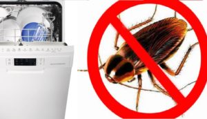 How to remove cockroaches from the dishwasher