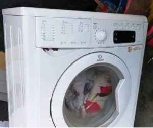 De Indesit wasmachine zuigt water op en wast niet