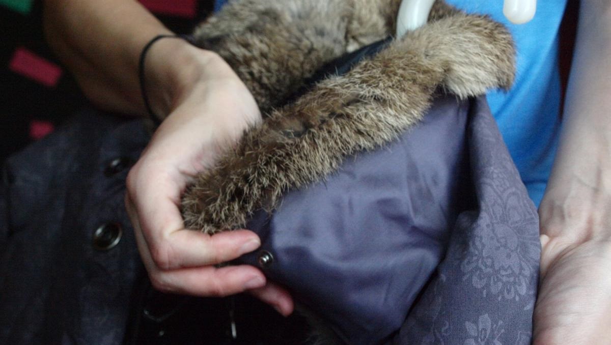 removing the fur collar of a padding polyester jacket