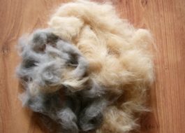 How to clean your washing machine from animal hair