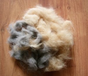 How to clean animal hair from a washing machine?