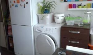 Posible bang mag-install ng washing machine sa tabi ng refrigerator?