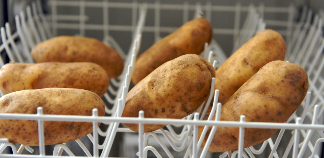 Vegetable bottles should not be washed