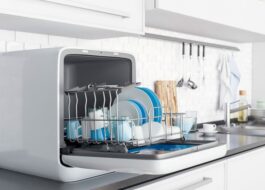 Rating of dishwashers for cottages