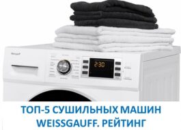 TOP 5 Weissgauff dryers. Rating