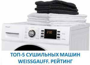 TOP 5 Weissgauff dryers. Rating