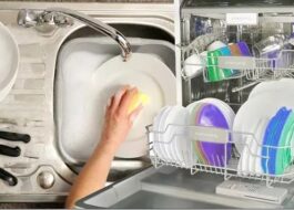 What is more profitable: dishwasher or hand wash?