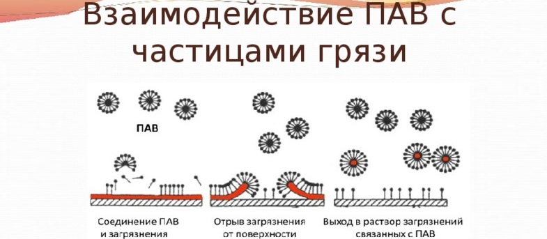 modul în care surfactanții sub formă de pulbere interacționează cu murdăria și apa